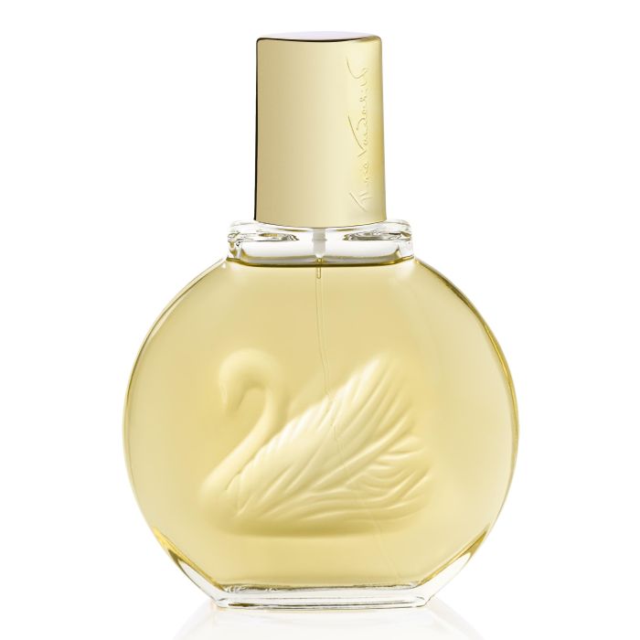 VANDERBILT EAU DE TOILETTE 100ML SPRAY